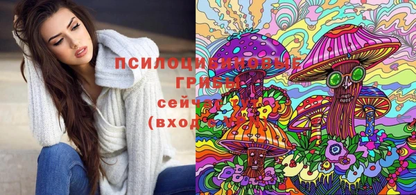 амф Абдулино
