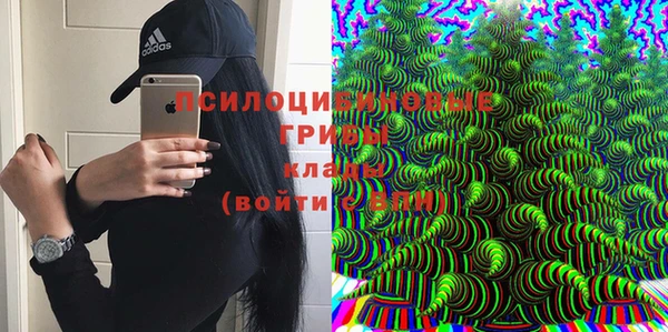 героин Алексин