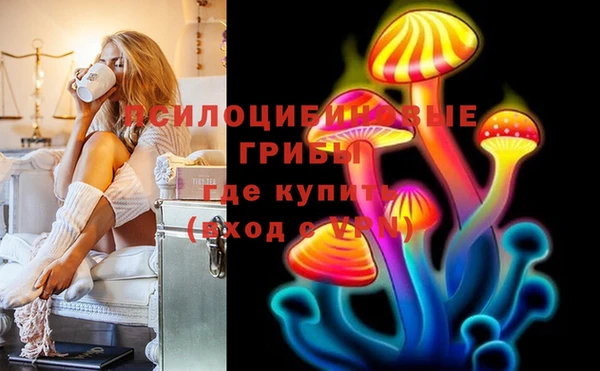 соль ск Алексеевка