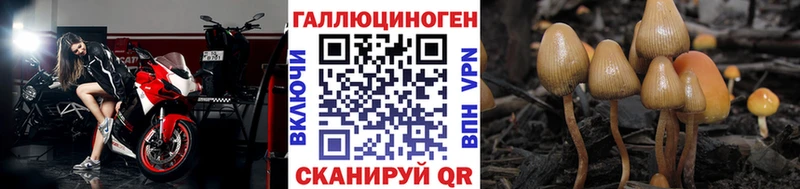 Псилоцибиновые грибы мицелий  mega маркетплейс  Каргополь  купить  цена 